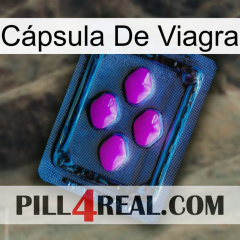 Cápsula De Viagra 04